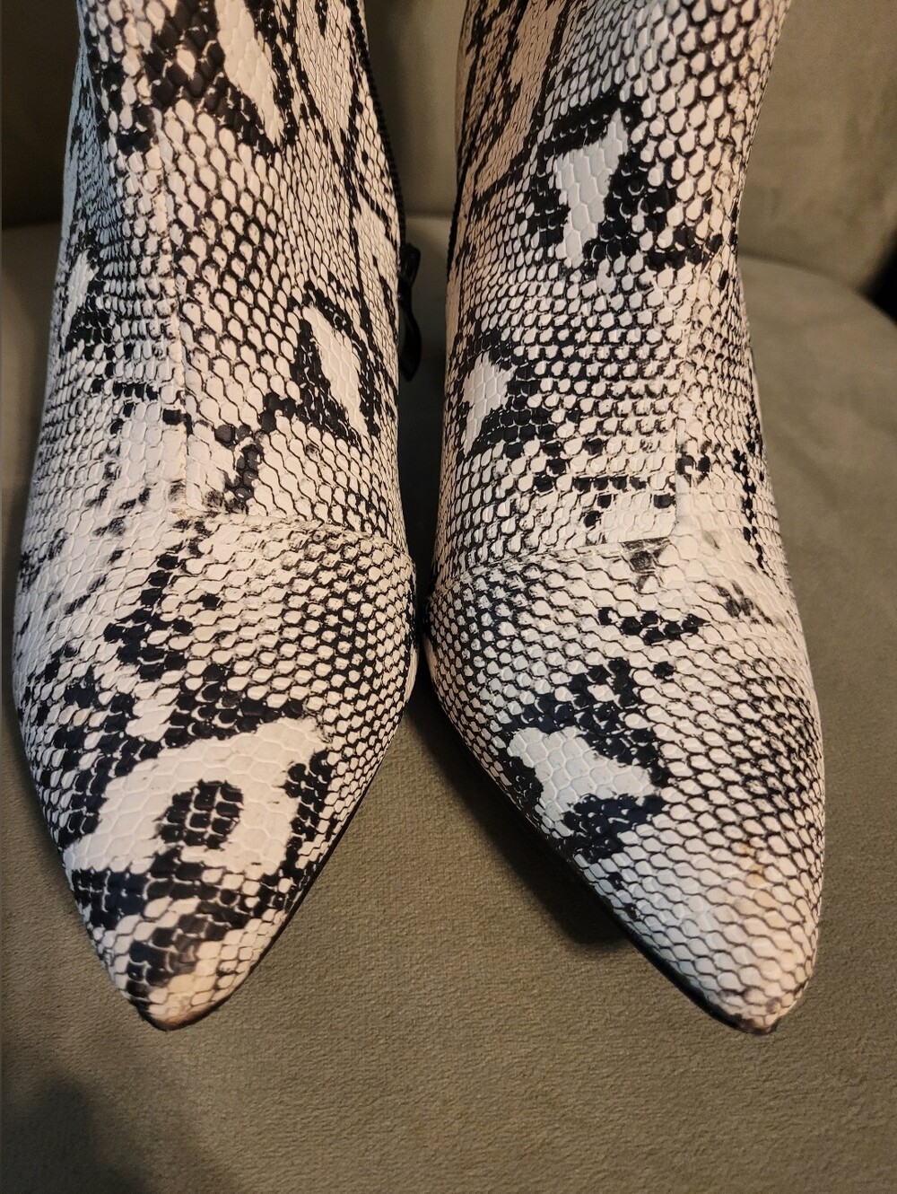 Snake Print Ankle Booties